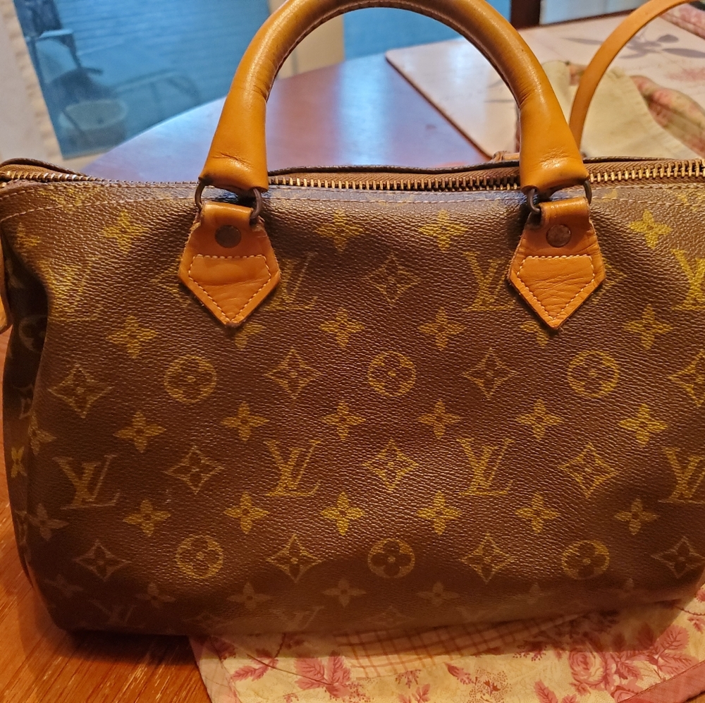 The French Company Louis Vuitton Speedy Handbag